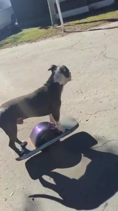 Rollin