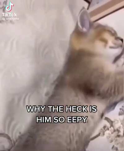 Bleh