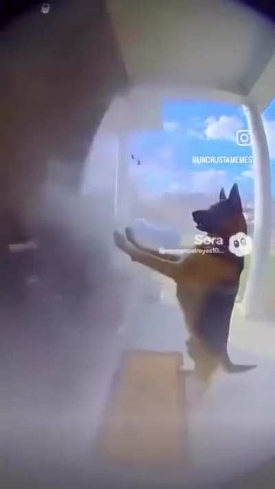 Is this AI?