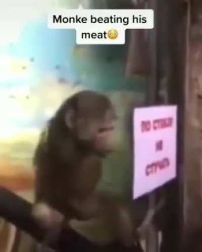 Mono paja Mono paja
