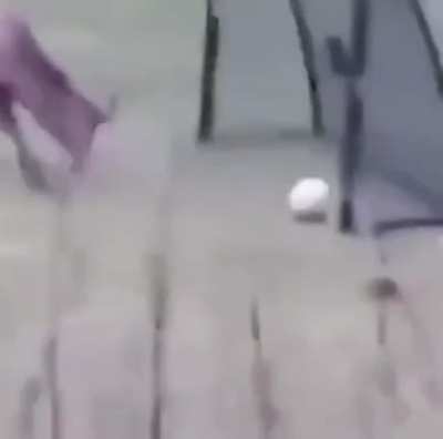 This poor quality deer is very pleased with itself (it's a goal!)
