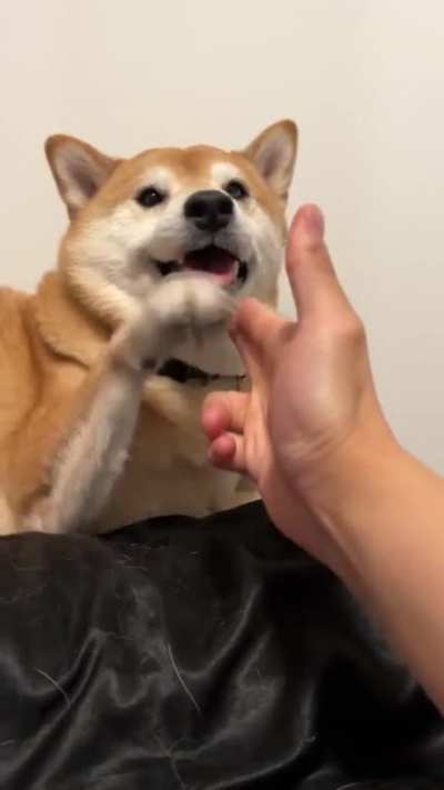NO HUMAN, PLEASE DON'T!