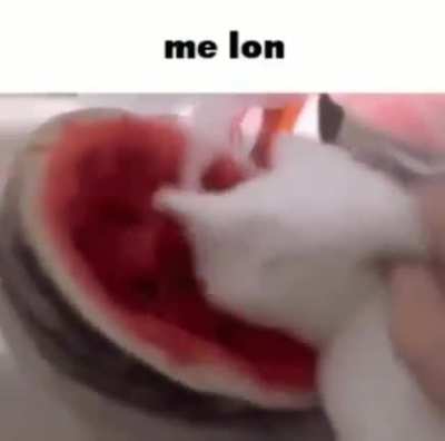 hmm dlç