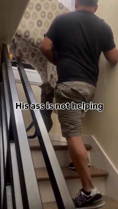 Professional mover