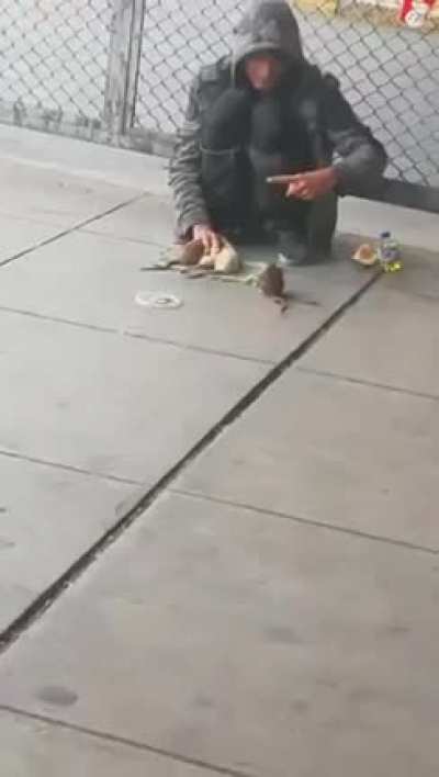 The Rat Master