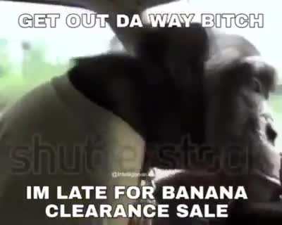 monke
