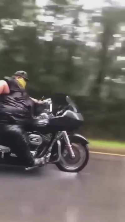 Absolute unit