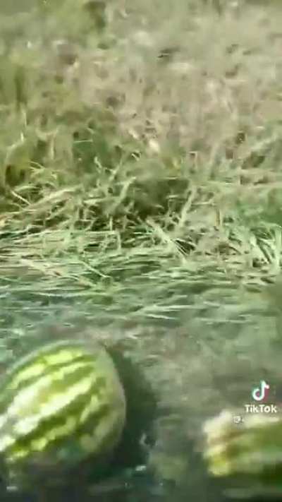 minecraft item water stream