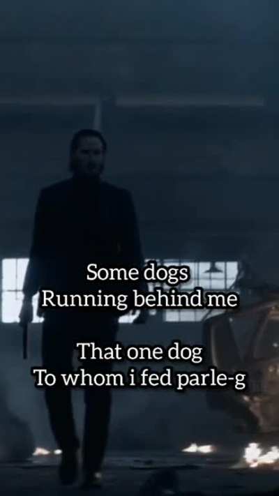 Are dogs loyal?<<<dogs are loyal