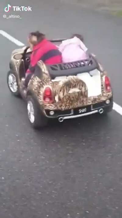 Monkey car