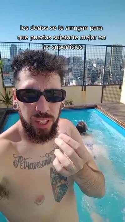 Sabías que...