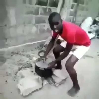 estrogonargas