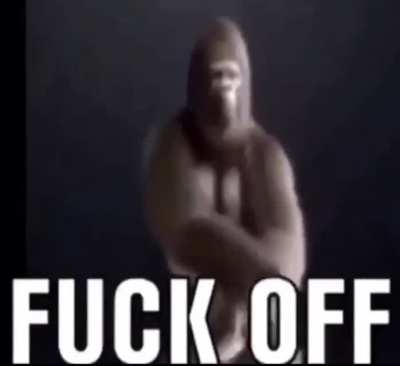 monke monke monke monke monke