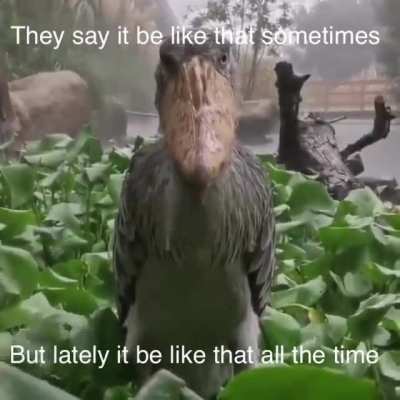 be like that