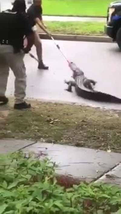 Just a typical day in Australia
