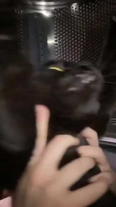 Aw