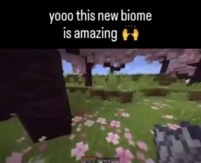 🫡