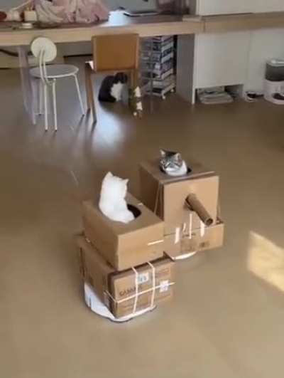 Brutal war footage