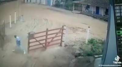 Davar