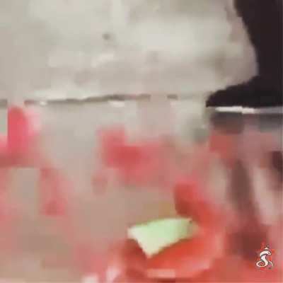 Melon BONK 🧟‍♂️🍉<wbr>🤯