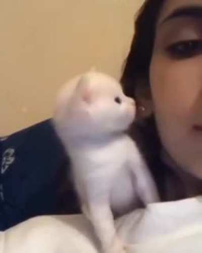 A kiss like no other