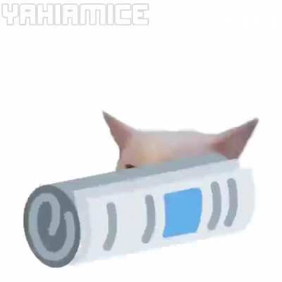 Since the god of gamers liked the peepo meme I decided to post a similar one