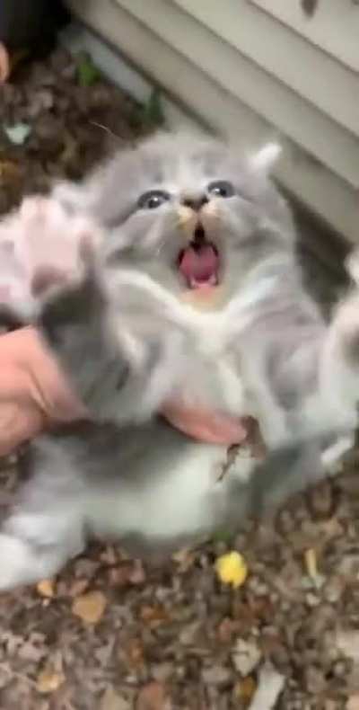 Oh, he’s not happy