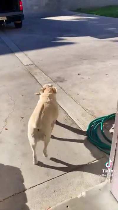 Betrayal
