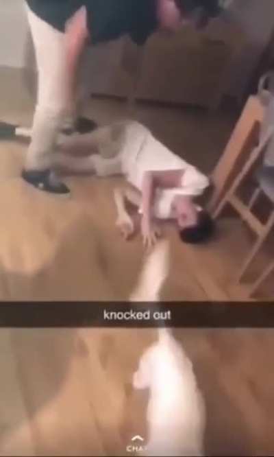 Sitting on his fellow’s back