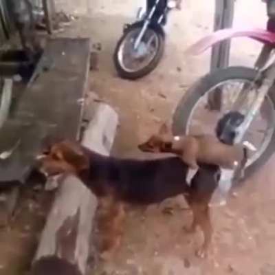 Küçük sikiyle koca göt sikme hayali kuran uyeler;