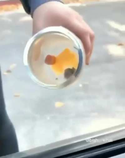 Little fucking mouse...