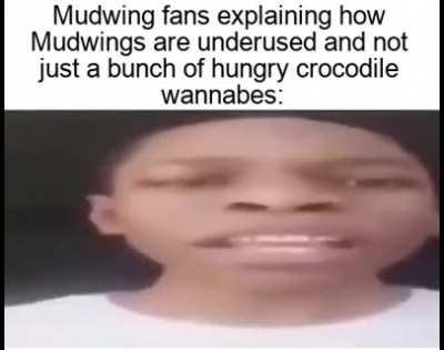 Another meme because im too lazy to draw and wanna partake in this war I started