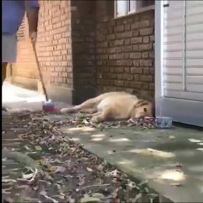 It is time to sleep