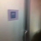 This translucent bathroom door.