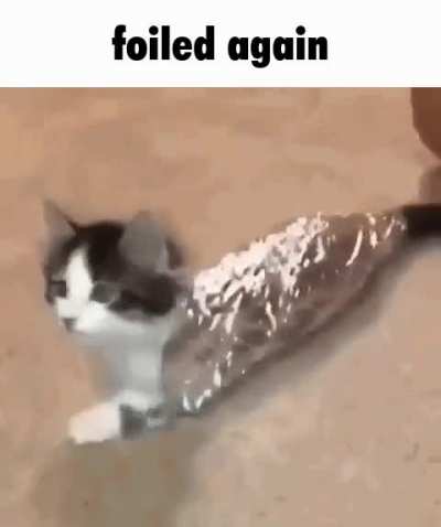 Foil