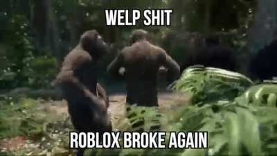 Well roblox broke...