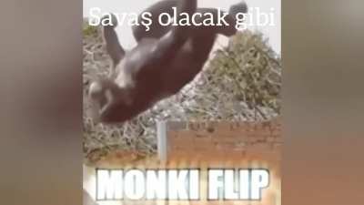 Gumandanım her zaman seninleyiz O1
