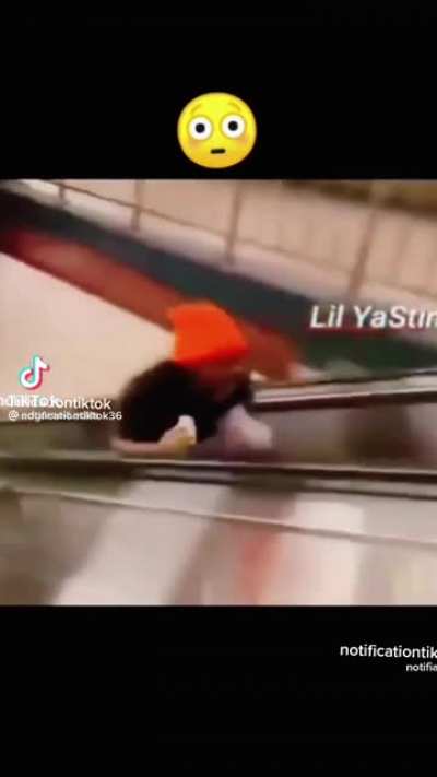 XD
