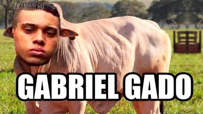 Gabriel jogador de Fogaréu 😭😭😭😭😭😭😭😭😭😭