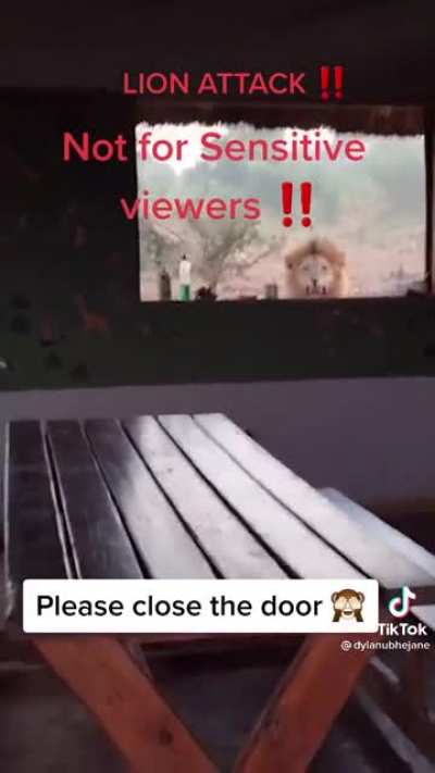 At this point it’s just stupidity