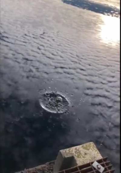 Cool Stone throw