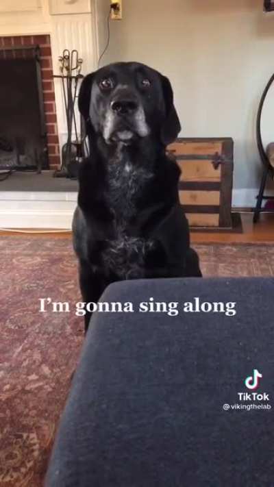 This was sent in my family group chat and thought this belonged here. Hopefully this hasn’t been posted yet