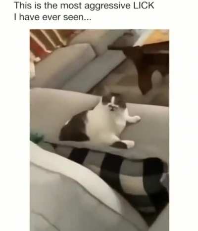 Aggressive lick.exe
