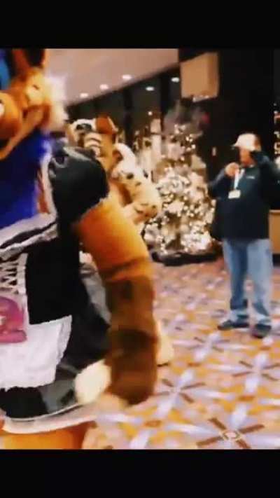 Careful buying French maid outfits, looks like this furry gonna return theirs