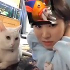 angry cat