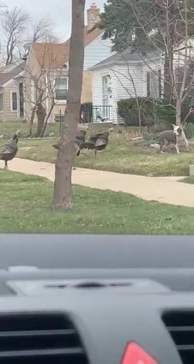 (OC) The wrong side of Turkey Town