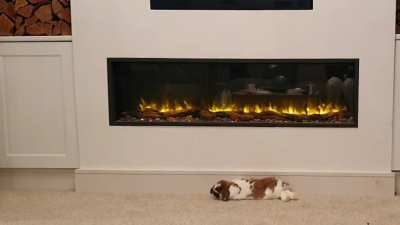 Flopping by the fire 🔥