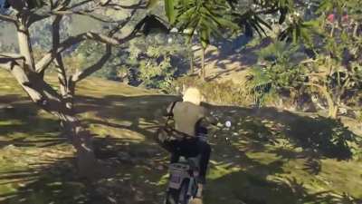 Cayo Perico tree in 8s
