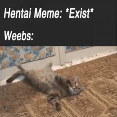 If a man shares a hentai meme, he’s not only right in providing the sauce, he’s obligated to do so