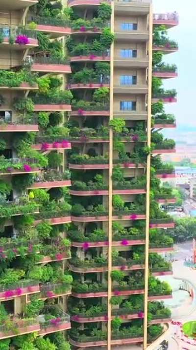 Every household has a garden